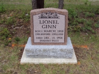 ginn